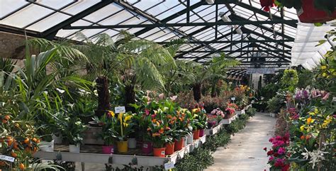 jardinerie versace